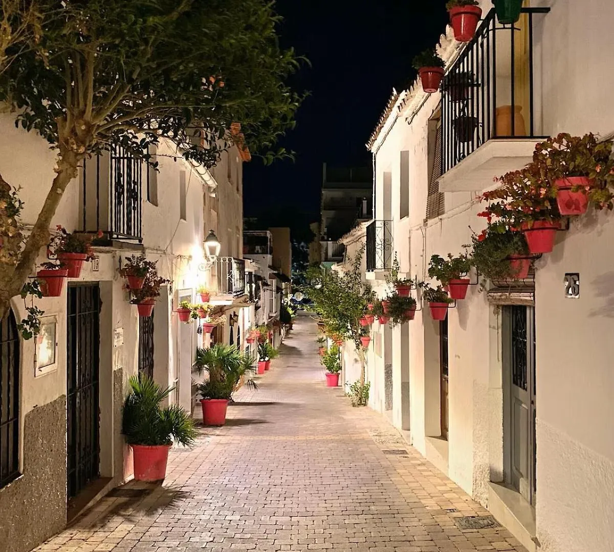 Apartment Vineyard Shores - Manilva