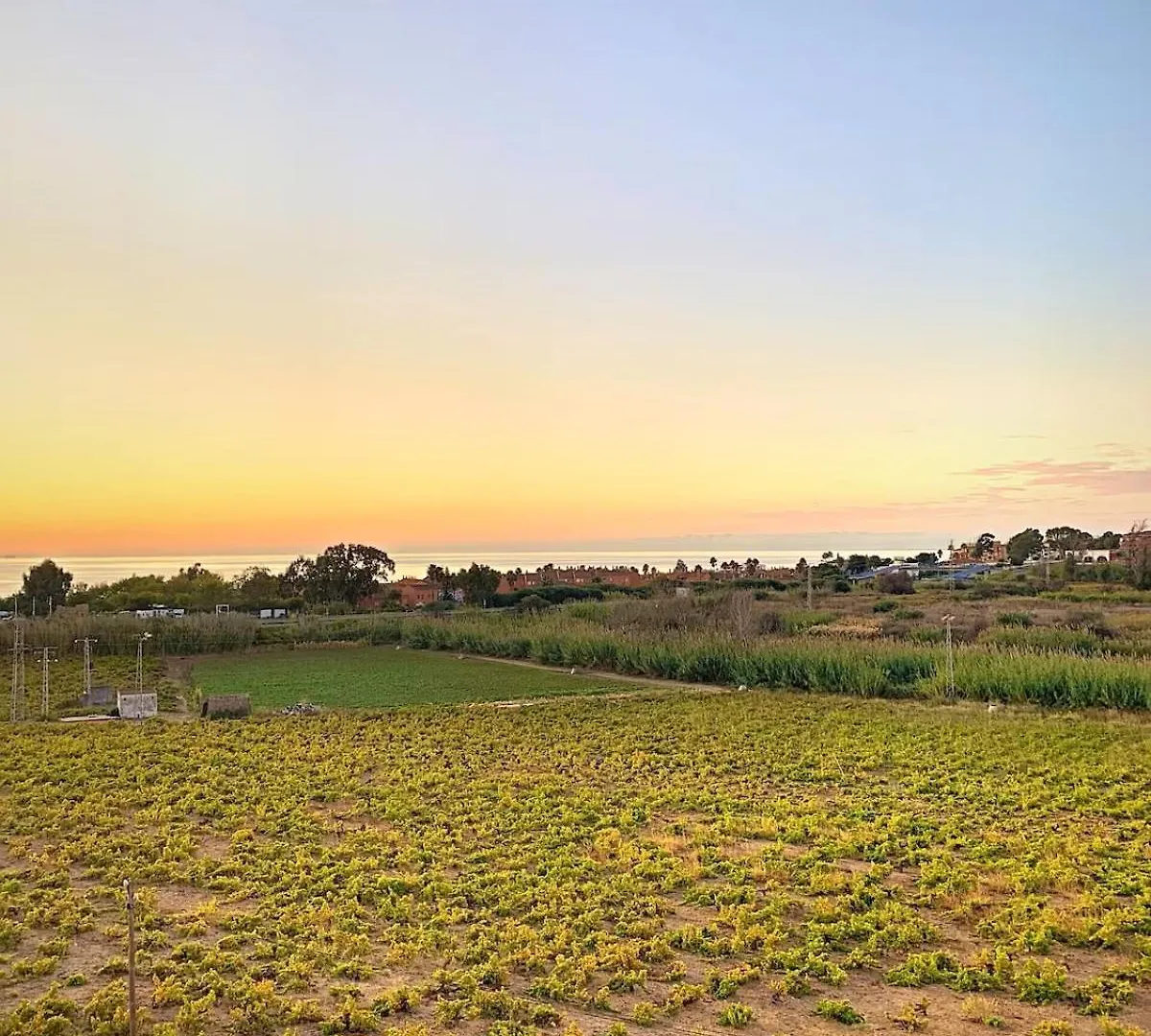 Vineyard Shores - Manilva